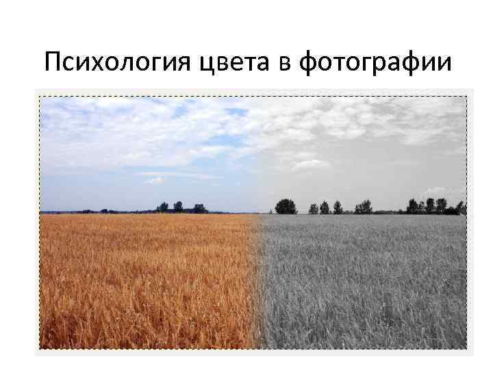 Психология цвета в фотографии 