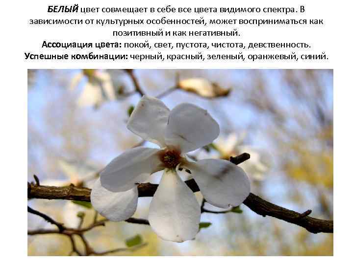 БЕЛЫЙ цвет совмещает в себе все цвета видимого спектра. В зависимости от культурных особенностей,