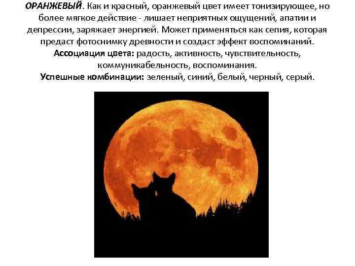 Что означает оранжевый цвет. Оранжевый цвет в психологии. Символика оранжевого цвета в психологии. Что обозначает оранжевый цвет в психологии. Характеристика оранжевого цвета в психологии.