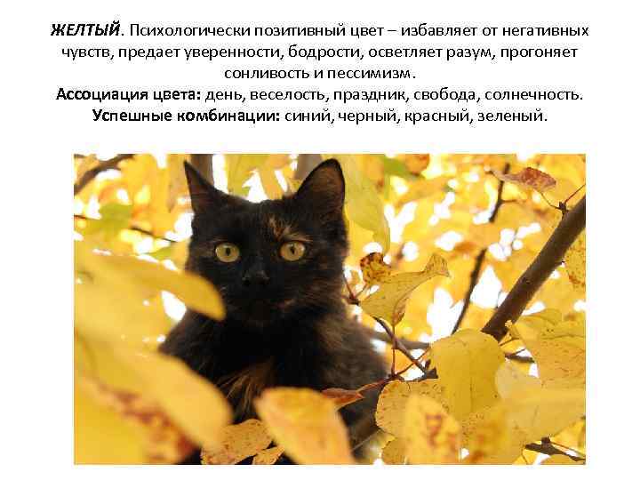 ЖЕЛТЫЙ. Психологически позитивный цвет – избавляет от негативных чувств, предает уверенности, бодрости, осветляет разум,