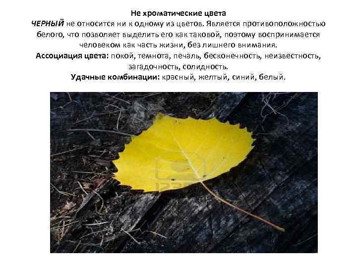 Не хроматические цвета ЧЕРНЫЙ не относится ни к одному из цветов. Является противоположностью белого,