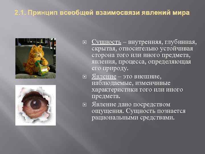 2. 1. Принцип всеобщей взаимосвязи явлений мира Сущность – внутренняя, глубинная, скрытая, относительно устойчивая