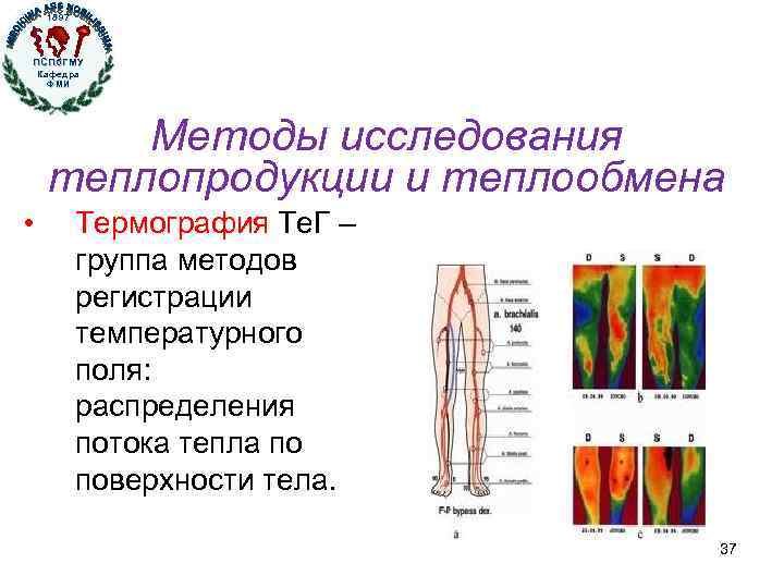 1897 ПСПб. ГМУ Кафедра ФМИ Кафедра физики, математики и информатики Методы исследования теплопродукции и