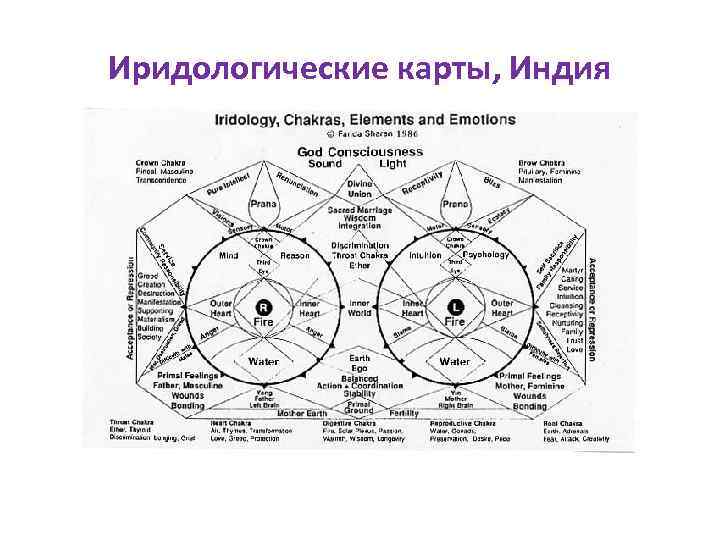 Иридологические карты, Индия 
