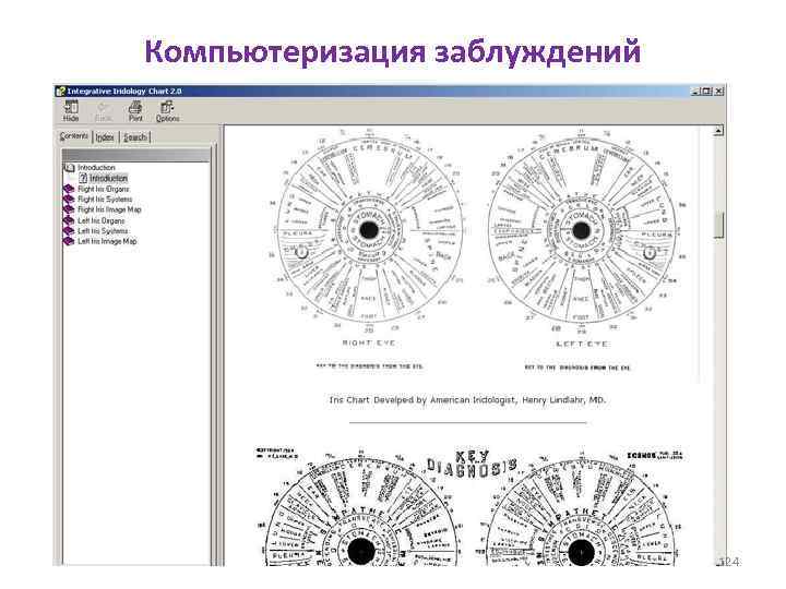 Компьютеризация заблуждений 124 