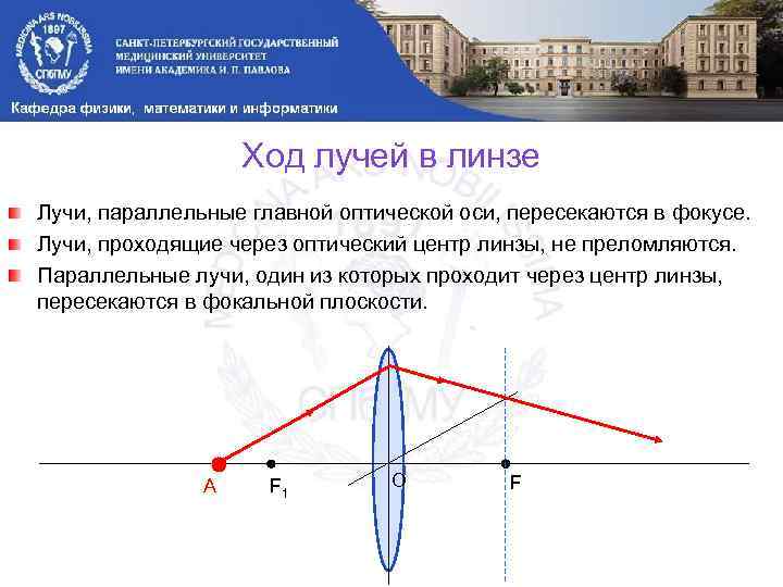 Ход лучей в линзе Лучи, параллельные главной оптической оси, пересекаются в фокусе. Лучи, проходящие