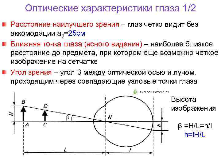 Оптические характеристики глаза 1/2 Расстояние наилучшего зрения – глаз четко видит без аккомодации a