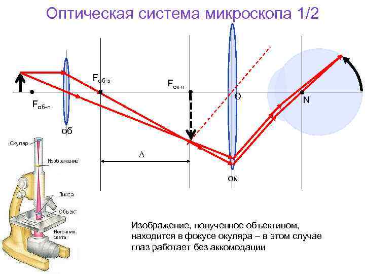 На рисунке изображена оптическая схема