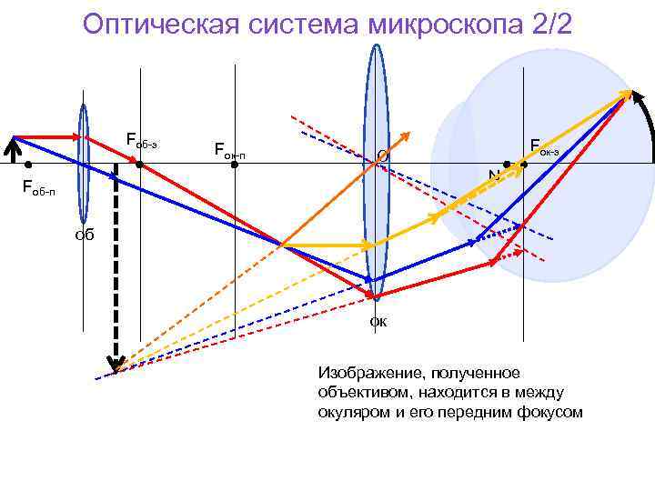 Оптическая система микроскопа 2/2 Fоб-з Fок-п Fок-з O N Fоб-п об ок Изображение, полученное