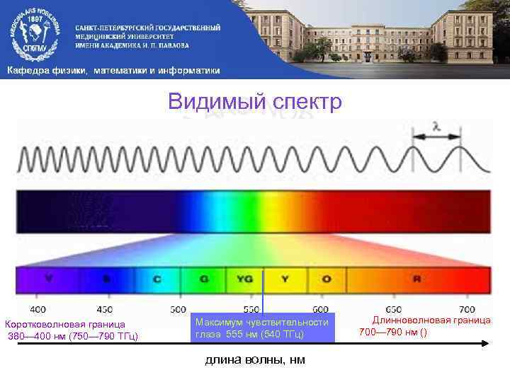 Видимый спектр Коротковолновая граница 380— 400 нм (750— 790 ТГц) Максимум чувствительности глаза 555