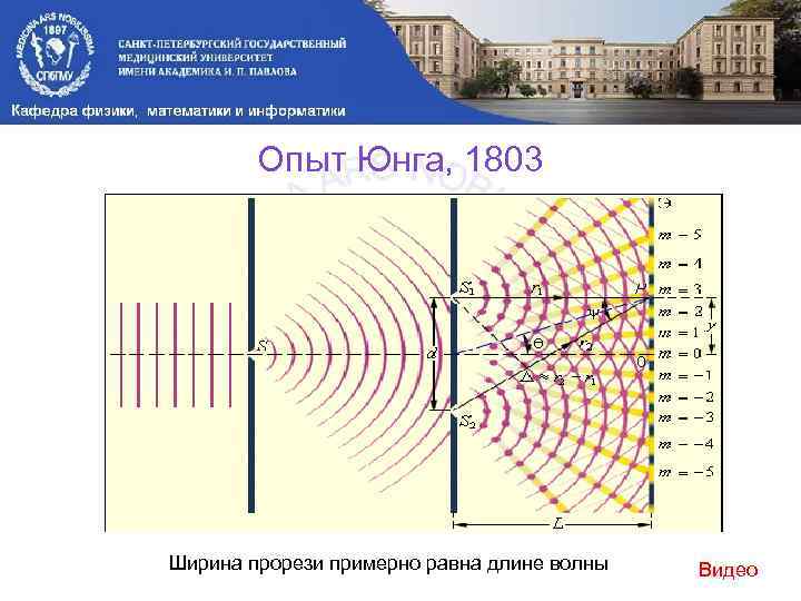 Опыт Юнга, 1803 Ширина прорези примерно равна длине волны Видео 