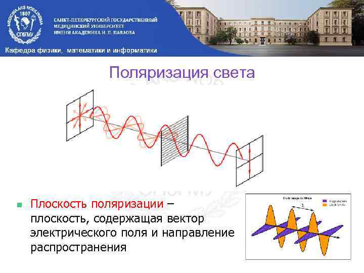 Поляризация света E B n Плоскость поляризации – x плоскость, содержащая вектор электрического поля