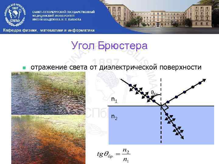 Угол Брюстера n отражение света от диэлектрической поверхности n 1 n 2 θбр 