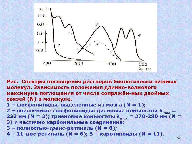 Рис. Спектры поглощения растворов биологически важных молекул. Зависимость положения длинно-волнового максимума поглощения от числа