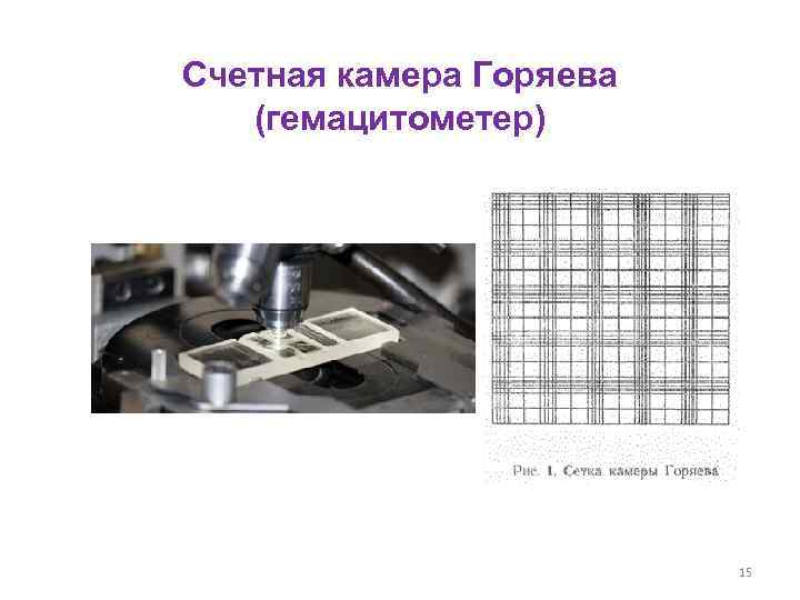 Счетная камера Горяева (гемацитометер) 15 