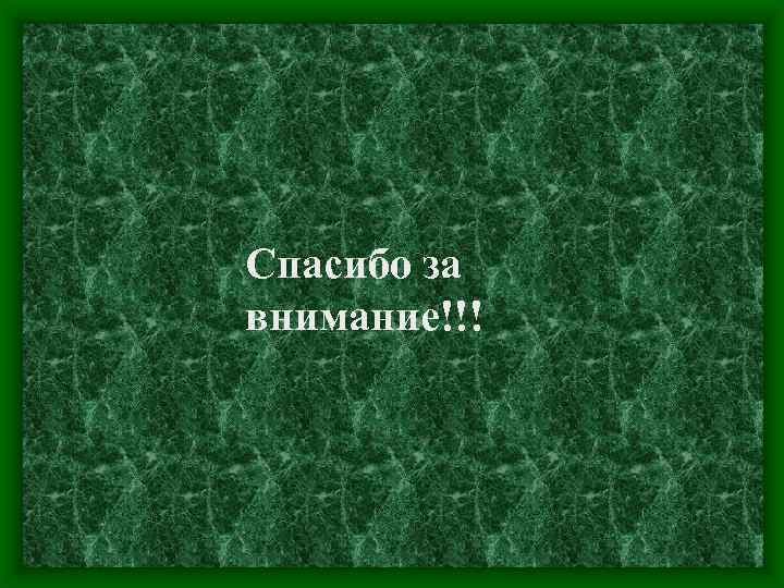 Спасибо за внимание!!! 