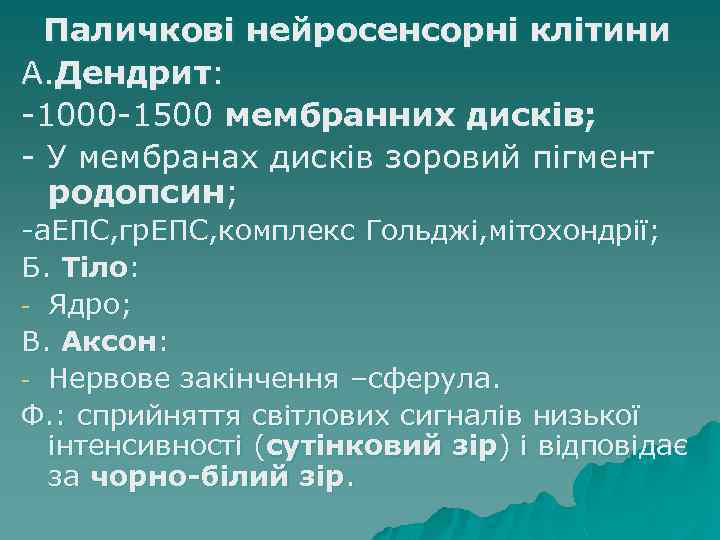 Паличкові нейросенсорні клітини А. Дендрит: -1000 -1500 мембранних дисків; - У мембранах дисків зоровий