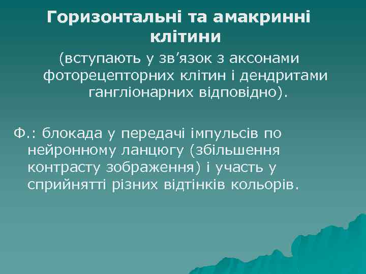 Горизонтальні та амакринні клітини (вступають у зв’язок з аксонами фоторецепторних клітин і дендритами гангліонарних