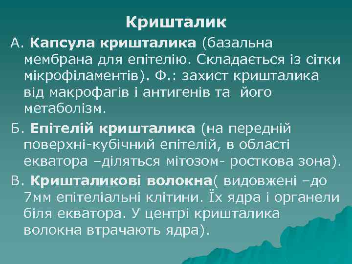 Кришталик А. Капсула кришталика (базальна мембрана для епітелію. Складається із сітки мікрофіламентів). Ф. :