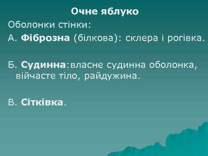 Очне яблуко Оболонки стінки: А. Фіброзна (білкова): склера і рогівка. Б. Судинна: власне судинна