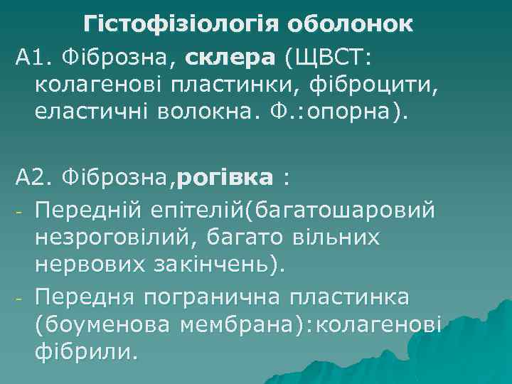 Гістофізіологія оболонок А 1. Фіброзна, склера (ЩВСТ: колагенові пластинки, фіброцити, еластичні волокна. Ф. :