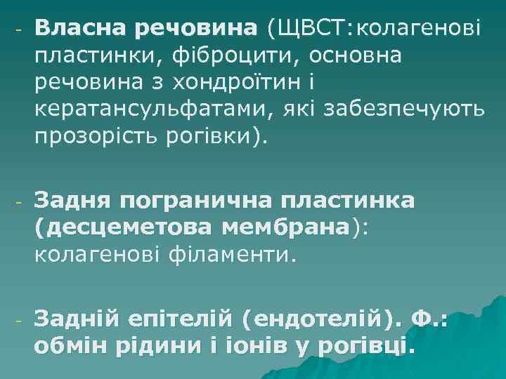 - Власна речовина (ЩВСТ: колагенові пластинки, фіброцити, основна речовина з хондроїтин і кератансульфатами, які