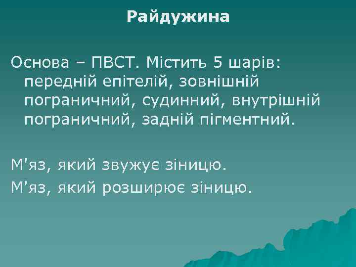 Райдужина Основа – ПВСТ. Містить 5 шарів: передній епітелій, зовнішній пограничний, судинний, внутрішній пограничний,