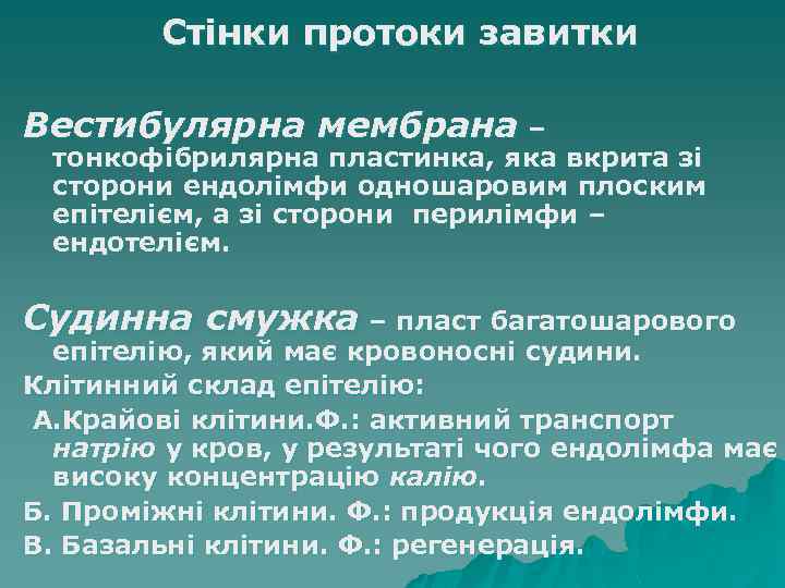 Стінки протоки завитки Вестибулярна мембрана – тонкофібрилярна пластинка, яка вкрита зі сторони ендолімфи одношаровим