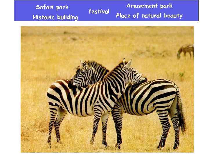 Safari park Historic building festival Amusement park Place of natural beauty 