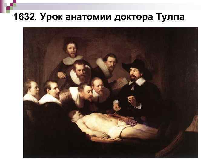 1632. Урок анатомии доктора Тулпа 