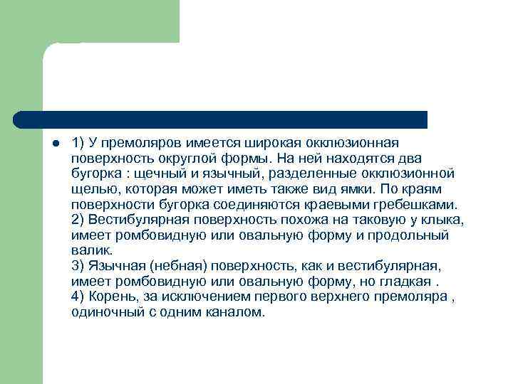 l 1) У премоляров имеется широкая окклюзионная поверхность округлой формы. На ней находятся два