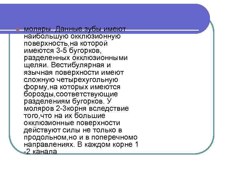 l моляры. Данные зубы имеют наибольшую окклюзионную поверхность, на которой имеются 3 -5 бугорков,
