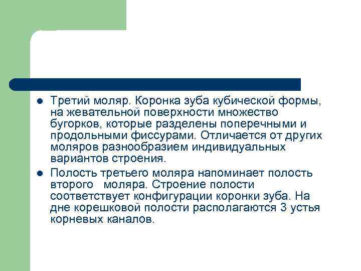l l Третий моляр. Коронка зуба кубической формы, на жевательной поверхности множество бугорков, которые