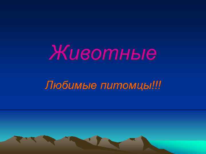 Животные Любимые питомцы!!! 