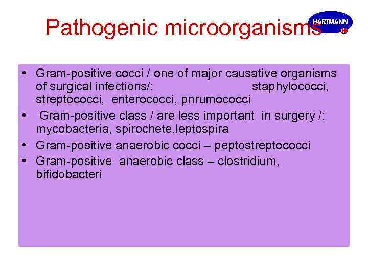 Pathogenic microorganisms • Gram-positive cocci / one of major causative organisms of surgical infections/: