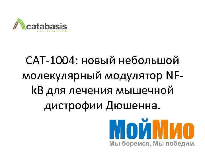 САТ-1004: новый небольшой молекулярный модулятор NFk. B для лечения мышечной дистрофии Дюшенна. 