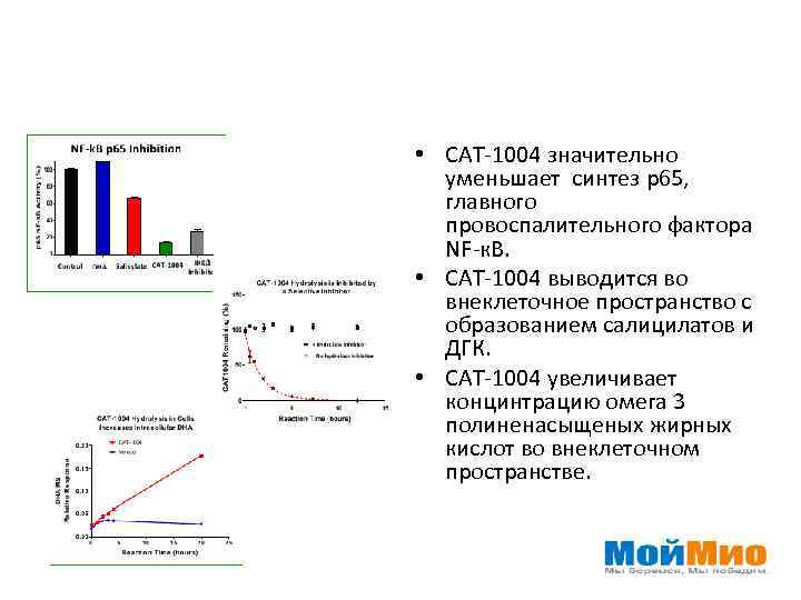  • САТ-1004 значительно уменьшает синтез р65, главного провоспалительного фактора NF-к. В. • САТ-1004