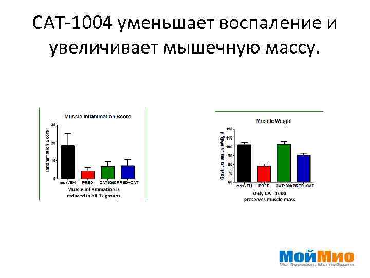 САТ-1004 уменьшает воспаление и увеличивает мышечную массу. 