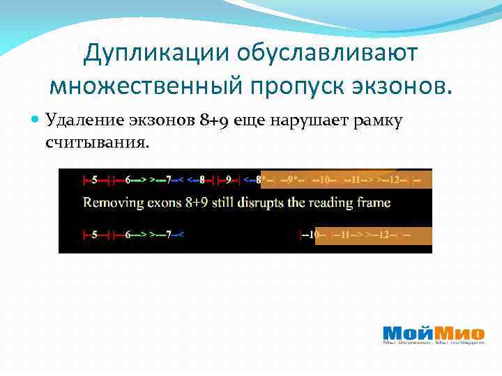 Пропуск множественное. Рамка считывания. Сдвиг рамки считывания. Нарушение рамки считывания. Задачи на рамку считывания.