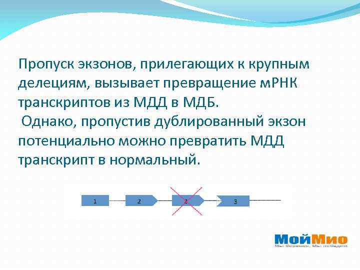 Пропуск экзонов, прилегающих к крупным делециям, вызывает превращение м. РНК транскриптов из МДД в
