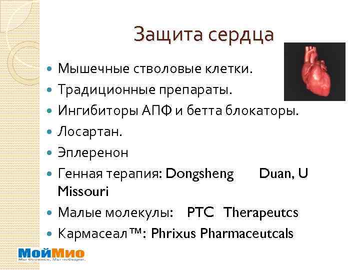 Защита сердца Мышечные стволовые клетки. Традиционные препараты. Ингибиторы АПФ и бетта блокаторы. Лосартан. Эплеренон