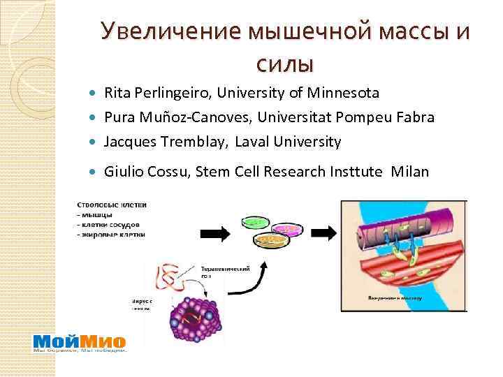 Увеличение мышечной массы и силы Rita Perlingeiro, University of Minnesota Pura Muñoz-Canoves, Universitat Pompeu