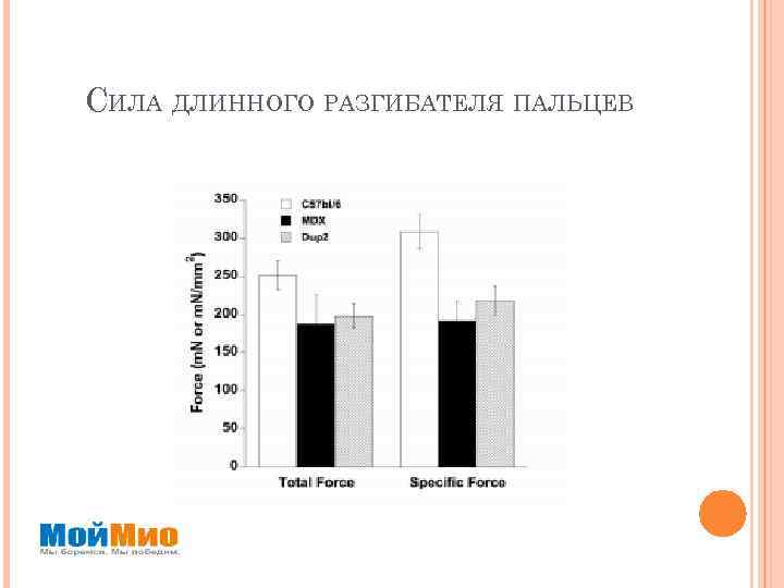 СИЛА ДЛИННОГО РАЗГИБАТЕЛЯ ПАЛЬЦЕВ 