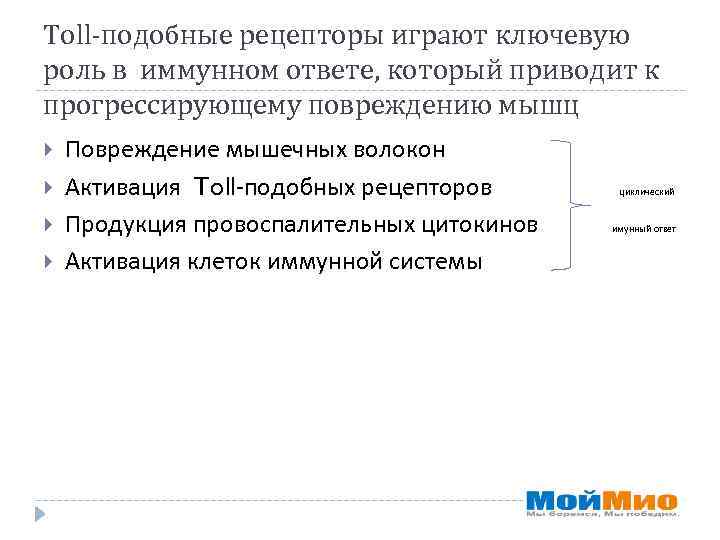 Toll-подобные рецепторы играют ключевую роль в иммунном ответе, который приводит к прогрессирующему повреждению мышц