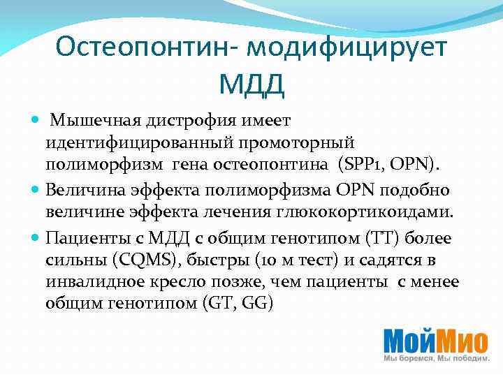 Остеопонтин- модифицирует МДД Мышечная дистрофия имеет идентифицированный промоторный полиморфизм гена остеопонтина (SPP 1, OPN).