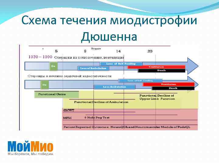 Генотипические особенности человека схема рационального питания