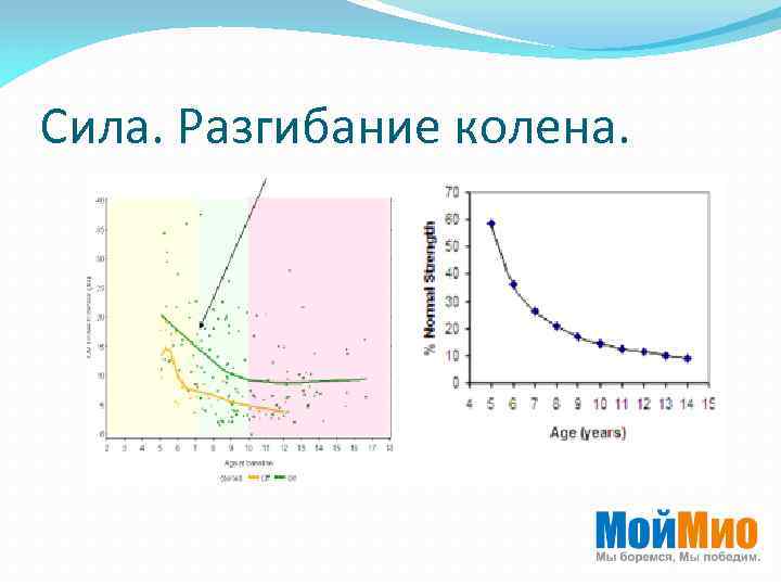 Сила. Разгибание колена. 