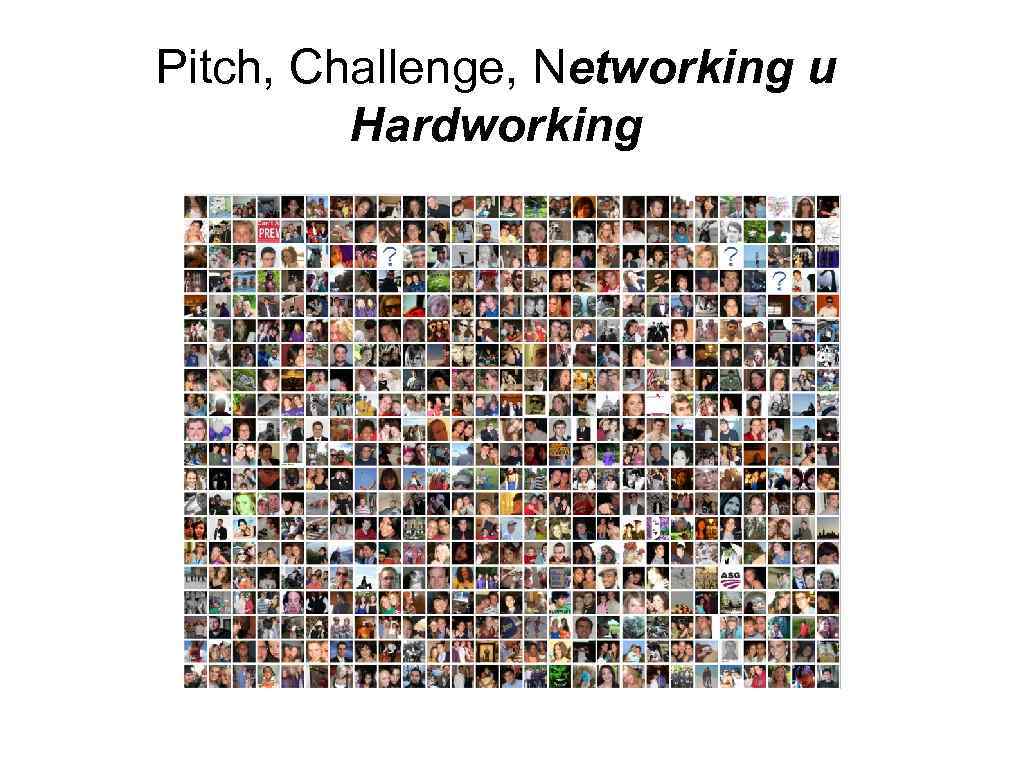 Pitch, Challenge, Networking и Hardworking 