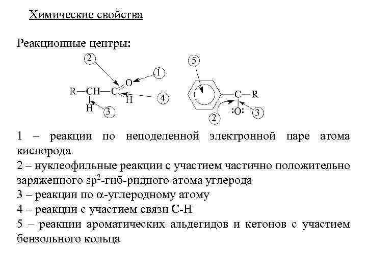 Химические свойства Реакционные центры: 1 – реакции по неподеленной электронной паре атома кислорода 2