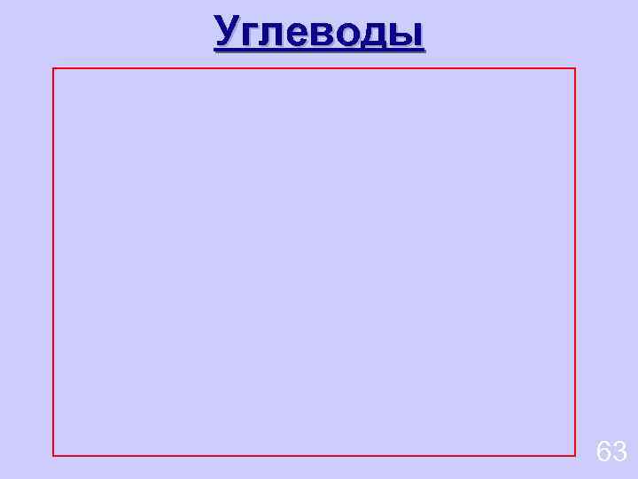 Углеводы 63 